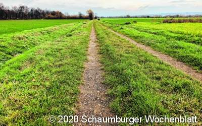 In Biotope verwandeln