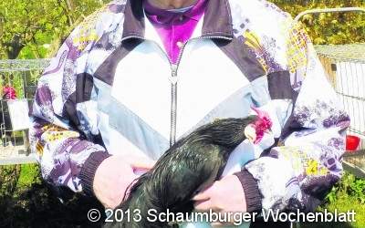 Von Krakeelern und Verweigerern
