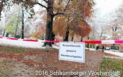 Schnee begräbt den Herbst