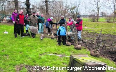 Freundeskreis pflanzt eine Weißdornhecke als Grenze