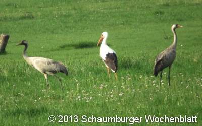 Niederung ist Besuch wert