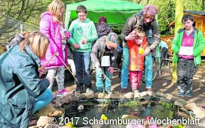 Wo die Blumen auch  in Stiefeln blühen