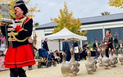 Herbstlicher Bauernmarkt mit verkaufsoffenem Sonntag