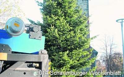 Weihnachtsbaum im Zentrum aufgestellt