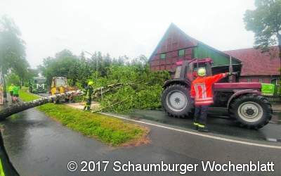 Umgestürzter Baum versperrt die Straße