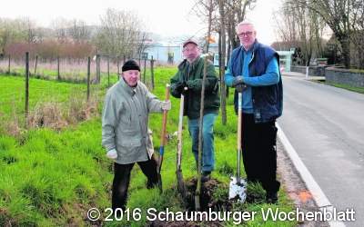 Neue Birnbäume gepflanzt