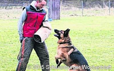 Sonntag ist der Tag des Hundes
