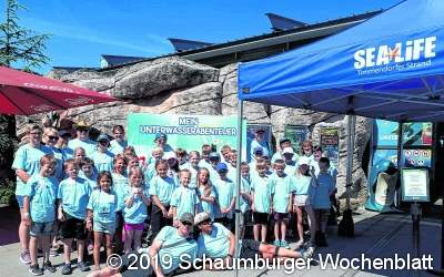 Essen am Strand und 
diebische Möwen im Zelt