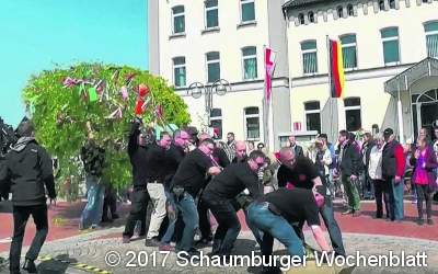 Rodenberg stellt den Maibaum auf