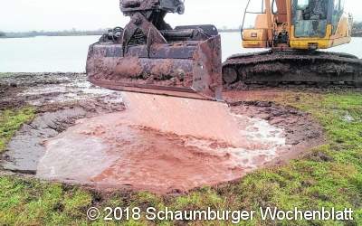 Weihnachtsgeschenke für die vielen Amphibien