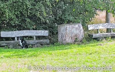 Schattiger Blick zur Windmühle