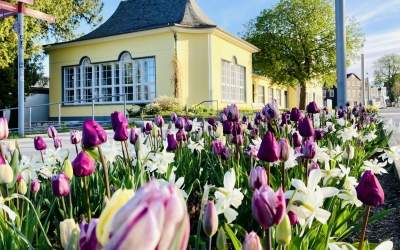 Neue Service-Zeiten in der Tourist-Information Bad Nenndorf