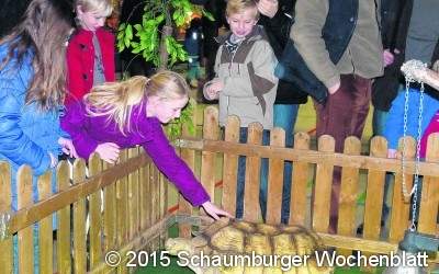 Zwischen Faszination und Ekel