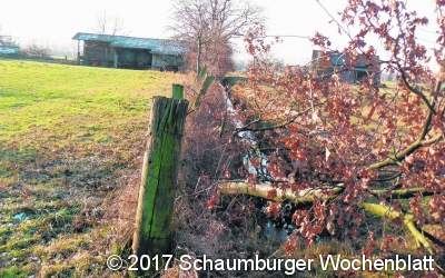 Baumfrevel im Landschaftsschutzgebiet