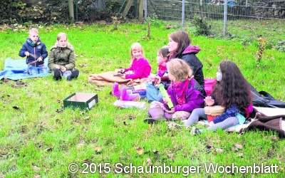 Frisches Obst aus eigenem Anbau
