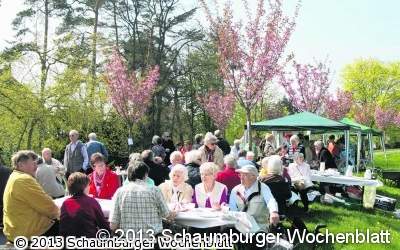 Die Kirschbaum-Allee ist bald wieder komplett