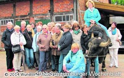 Fahrt zum Wasserbüffelhof