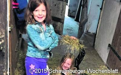 Die Pferde werden vor  dem Frühstück gefüttert