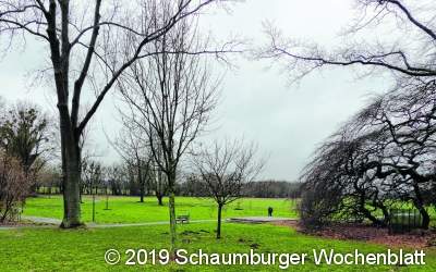 Mehr Grün in den Volkspark bringen