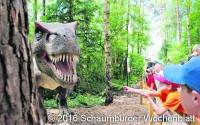 Die Dinos besuchen