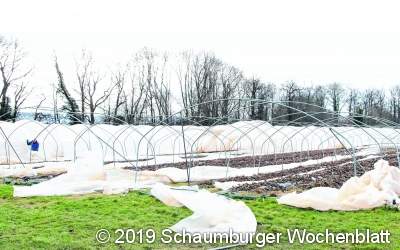 Sturmtief zerfetzt Folienhäuser