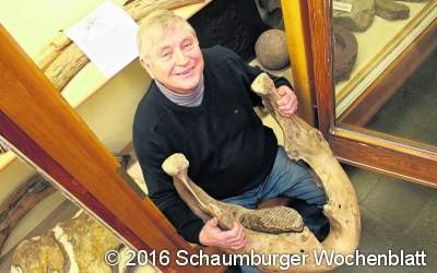 Mammut und Speerspitze im Museum