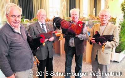 Gefiederte Schönheiten ausgestellt