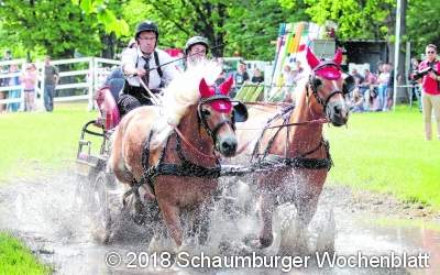 Prüfungen für Ross und Reiter