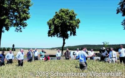 Die Ernte startet früh und enttäuschend
