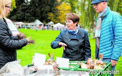 Mit Fiete und Kalle den Herbst genießen