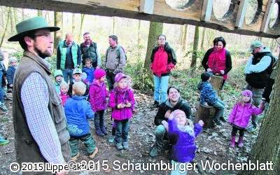 Tief im grünen Wald