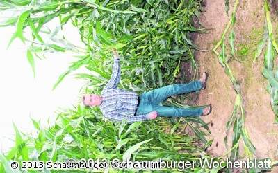 Das Wetter verhagelt den Rätselspaß