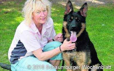 Training im Mittelpunkt