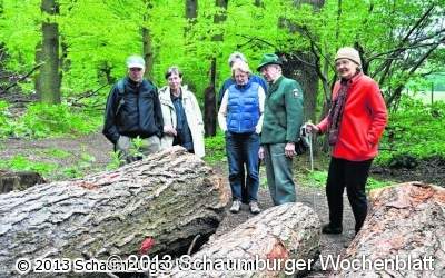 Förster erklärt seinen Deister