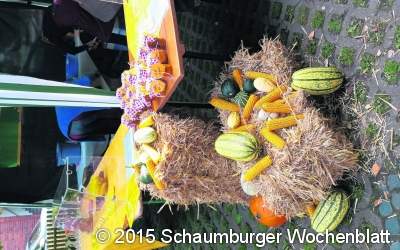Stadtführungen, Feste und vieles mehr