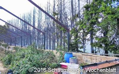 Hecke und Kornfeld brannten