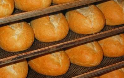 „Es droht ein großes<br>Bäckereisterben“