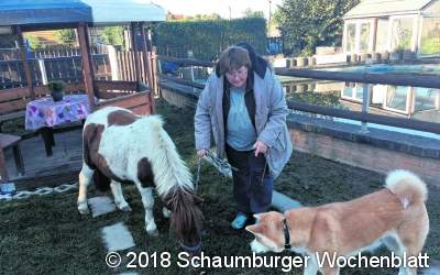 Das Leben ist doch kein Ponyhof