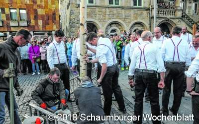 Maibaum erfolgreich aufgestellt