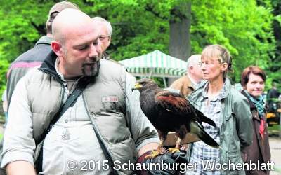 Hunde, Greifvögel und Jagdhornklang