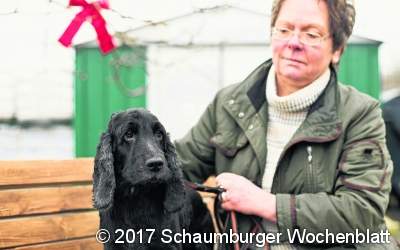 Cooke sucht neues Zuhause
