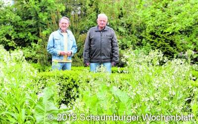 Reizvoller Garten neben 
historischen Mauern