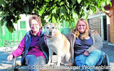 Ex-Hundehalterin droht Gassigängerin