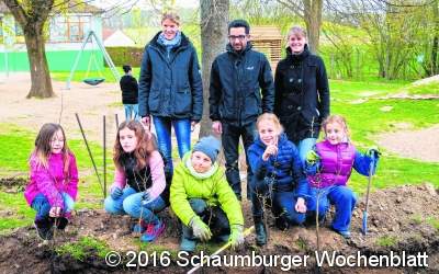Schattenspender und Blickfang