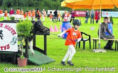 Mit den Shettys durch den Parcours