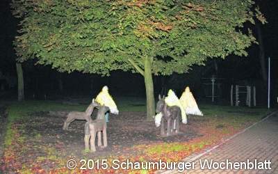 Lesend durch den Park
