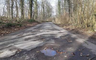 Landesforsten sanieren den Heisterburgweg zur Mooshütte im Deister
