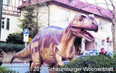Dinos am 