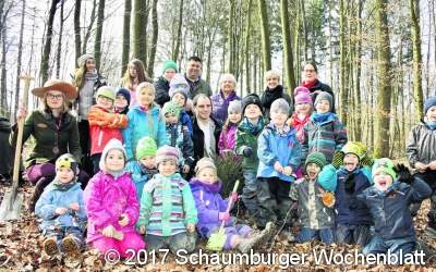 Junge Fichte für die Pützelzwerge gepflanzt