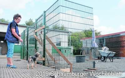 Tag der offenen Tür: Außengehege ist fertig
